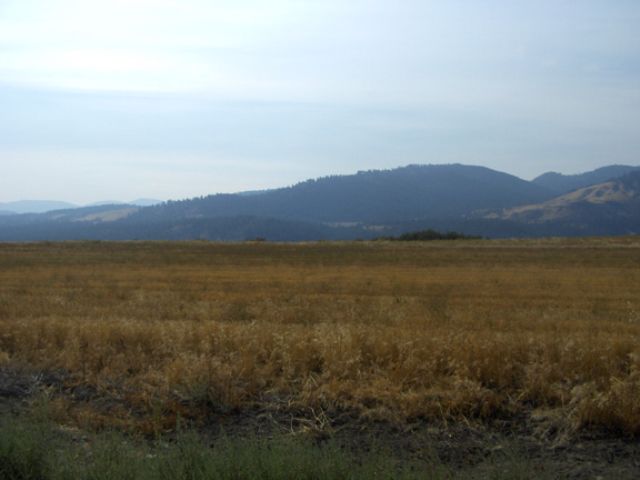 0 Lot 1 Lantzy Road Hunters, WA 99137 - Photo 4 of 6 Gallery Image 4