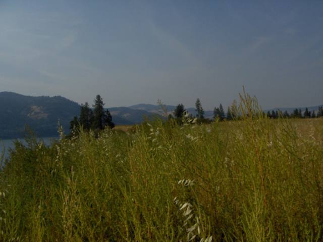 0 Lot 1 Lantzy Road Hunters, WA 99137 - Photo 5 of 6 Gallery Image 5