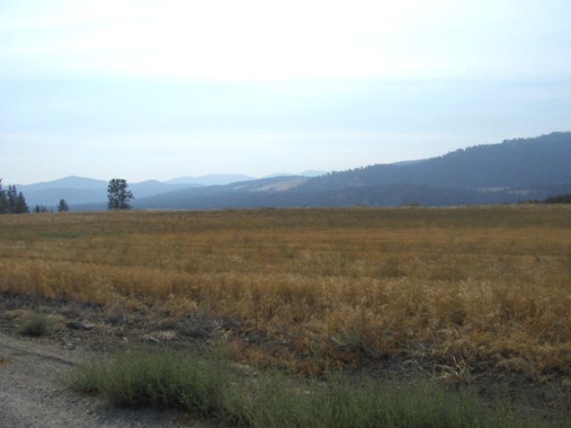 0 Lot 1 Lantzy Road Hunters, WA 99137 - Photo 6 of 6 Gallery Image 6