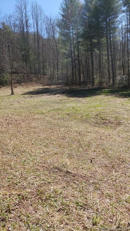 Lot 5 Fox Run Ridge Bryson City, NC 28713 - Photo 1 of 11 Gallery Image 1