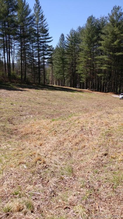 Lot 5 Fox Run Ridge Bryson City, NC 28713 - Photo 3 of 11 Gallery Image 3