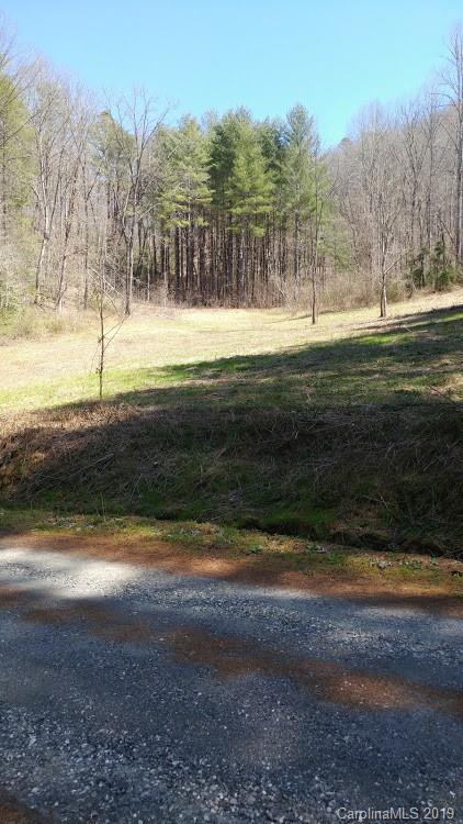 Lot 5 Fox Run Ridge Bryson City, NC 28713 - Photo 4 of 11 Gallery Image 4