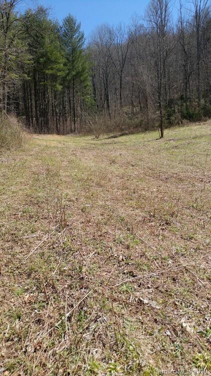 Lot 5 Fox Run Ridge Bryson City, NC 28713 - Photo 5 of 11 Gallery Image 5