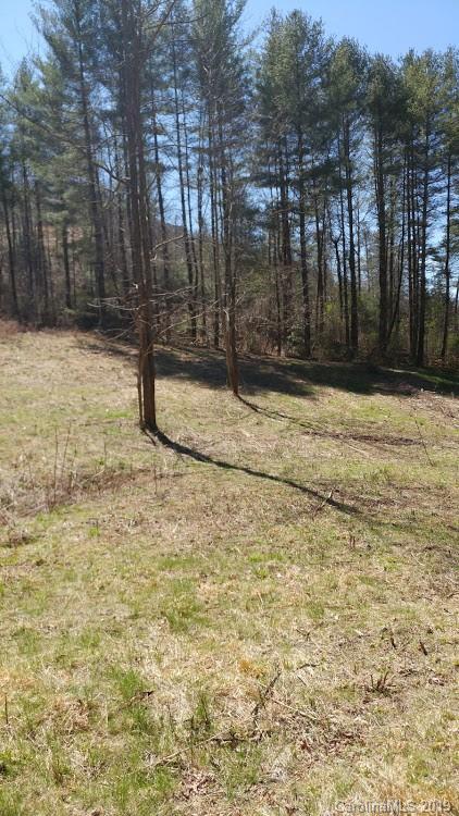 Lot 5 Fox Run Ridge Bryson City, NC 28713 - Photo 6 of 11 Gallery Image 6