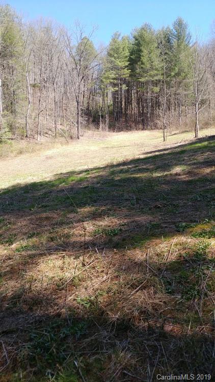 Lot 5 Fox Run Ridge Bryson City, NC 28713 - Photo 7 of 11 Gallery Image 7