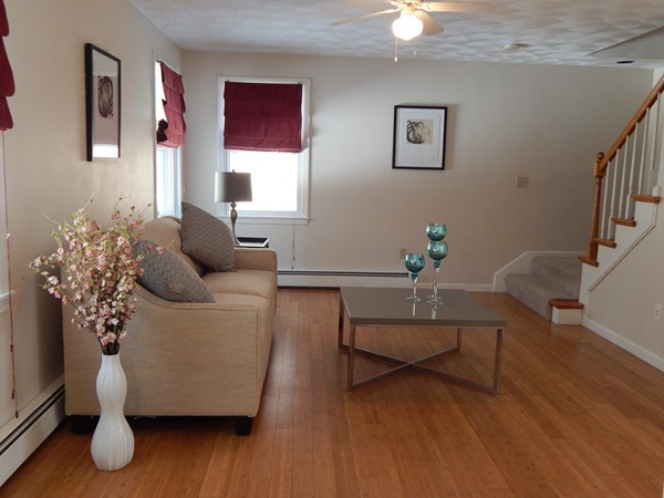 205 Fitch Road Clinton, MA 01510 - Photo 10 of 30 a living room with furniture and a potted plant
