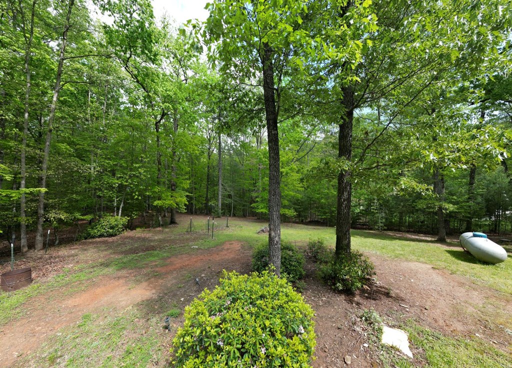 110 Hampton Road Morganton, GA 30560 - Photo 24 of 26 Gallery Image 24