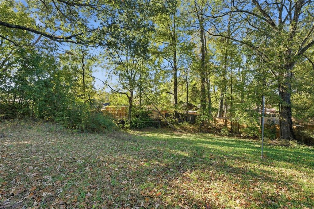 1739 Cardinal Road Hampton, GA 30228 - Photo 3 of 27 a view of outdoor space and yard