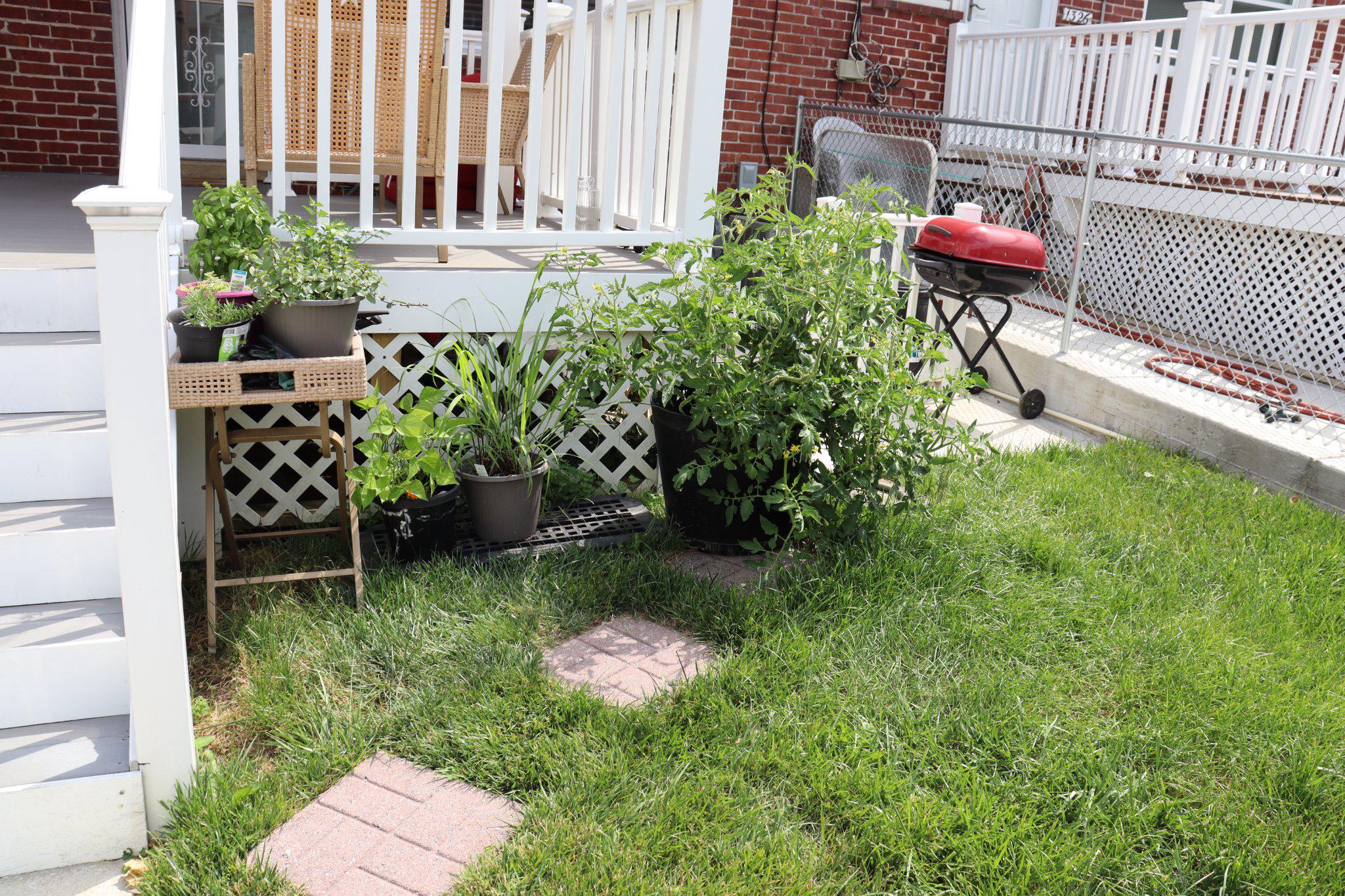 1328 Cedarcroft Road Baltimore, MD 21239 - Photo 13 of 39 Lush green yard with garden and patio space.