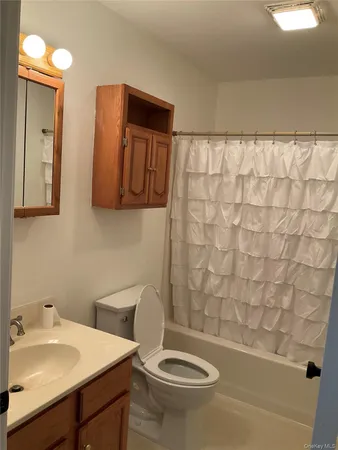 a bathroom with a sink a toilet and mirror