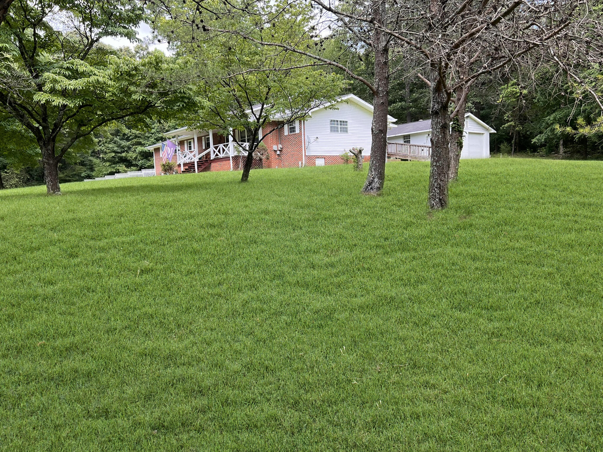 2025 Mt Pisgah Road Ringgold, GA 30736 - Photo 66 of 70 Front Yard from Right