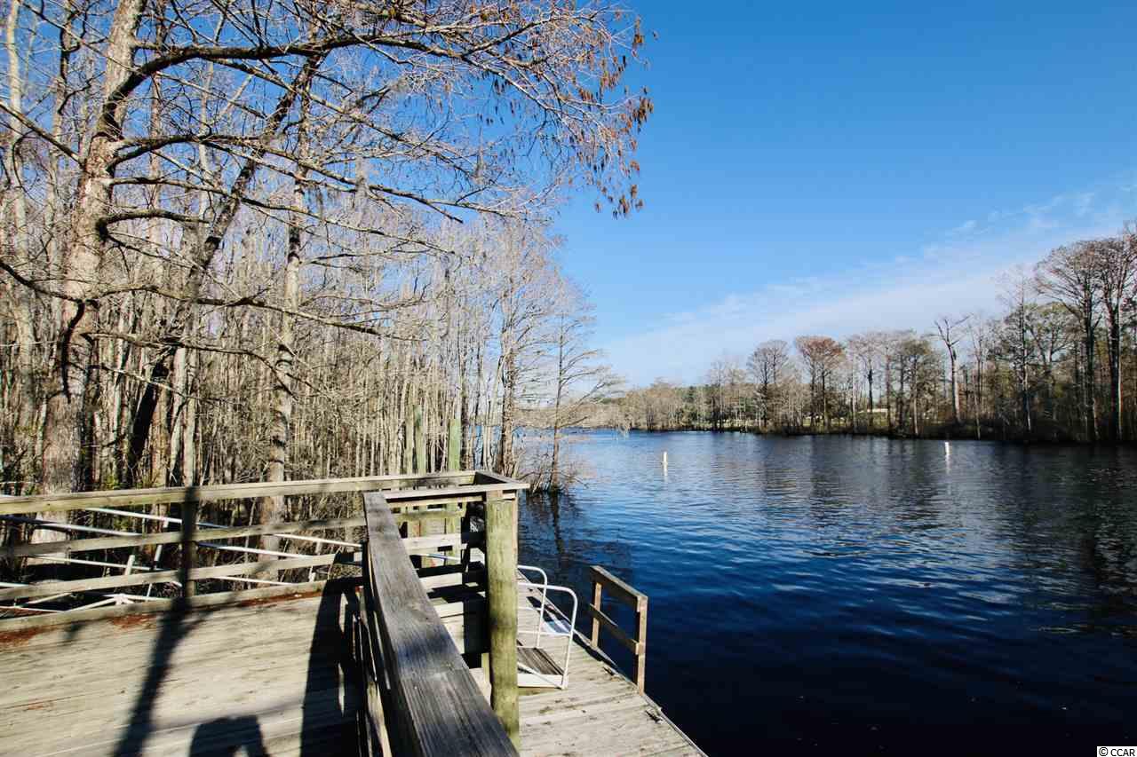 6010 Dick Pond Road, Unit 313 Myrtle Beach, SC 29588 - Photo 22 of 28 Gallery Image 22