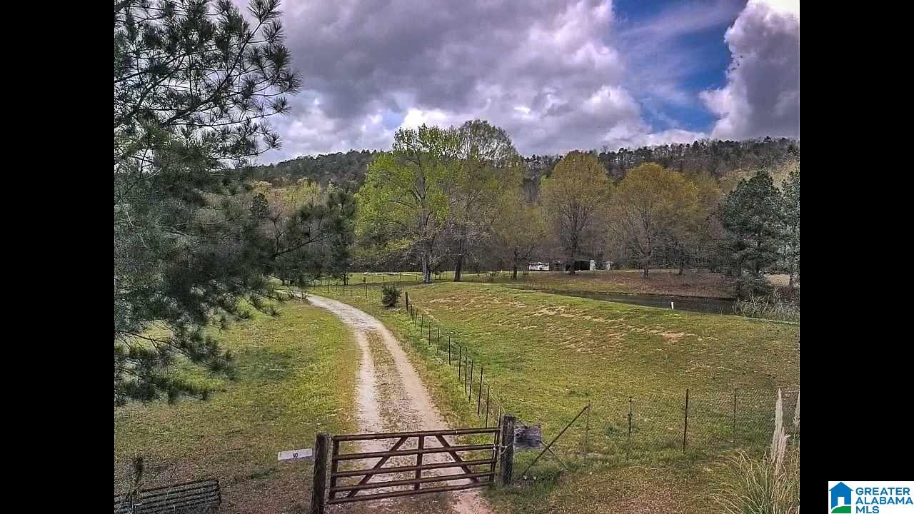 346 Hunters Lane Vandiver, AL 35176 - Photo 2 of 38