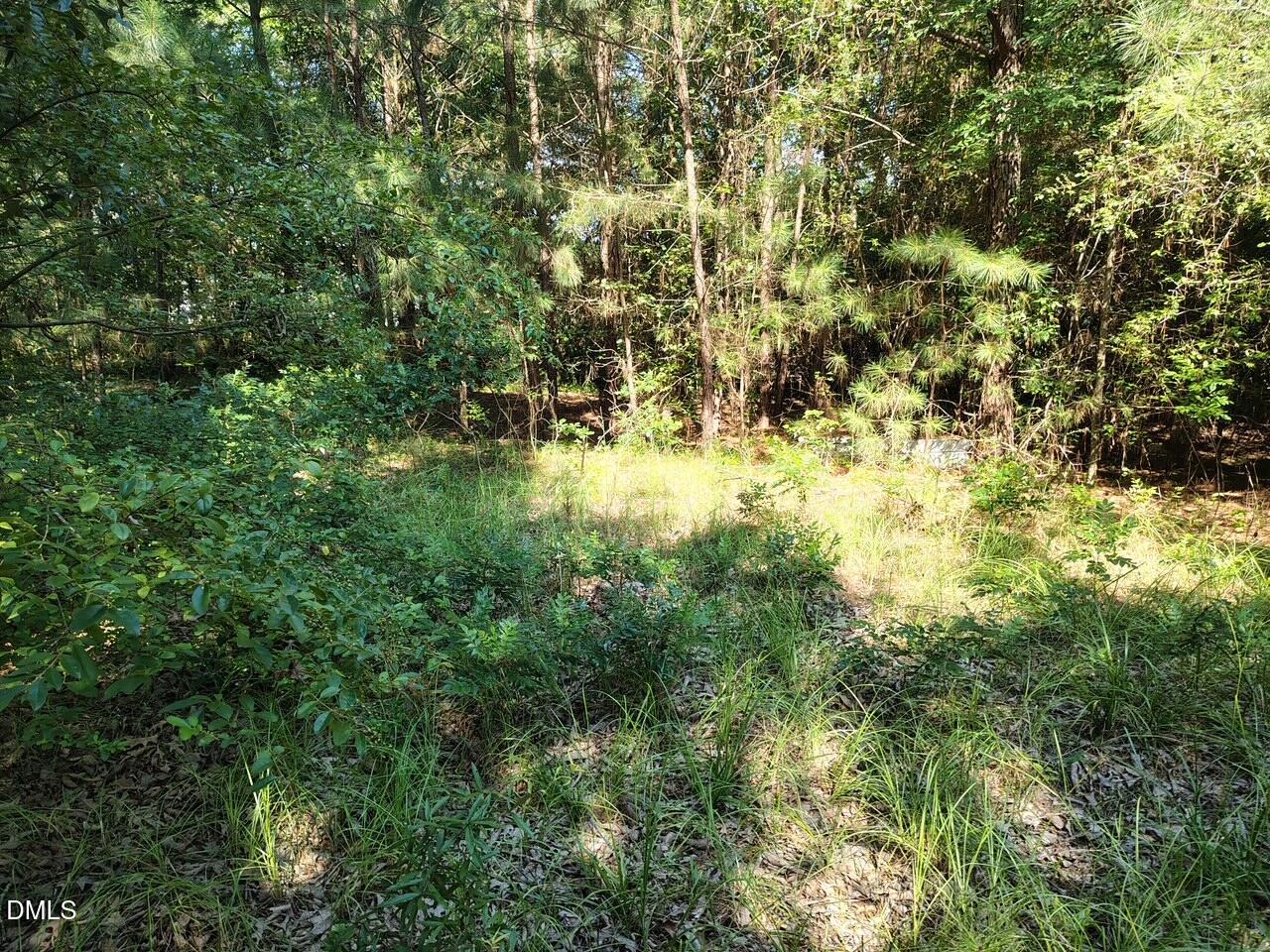 486 Creech Johnson Road Zebulon, NC 27597 - Photo 10 of 10 image6