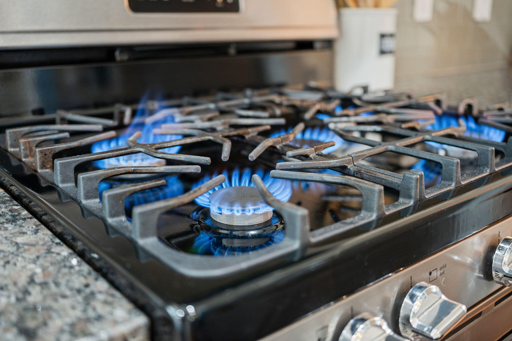 303 Knawl Road Moncks Corner, SC 29461 - Photo 13 of 43 17-web-or-mls-Barclay Media Co -25