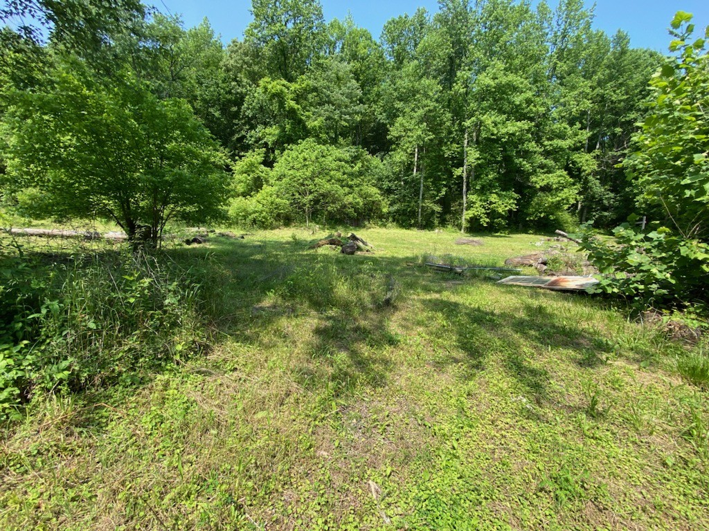 4000 Normandy Road Normandy, TN 37360 - Photo 3 of 13 a view of yard with green space
