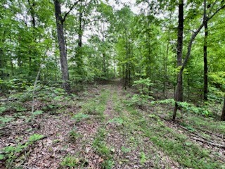 4000 Normandy Road Normandy, TN 37360 - Photo 7 of 13 a view of a lush green forest