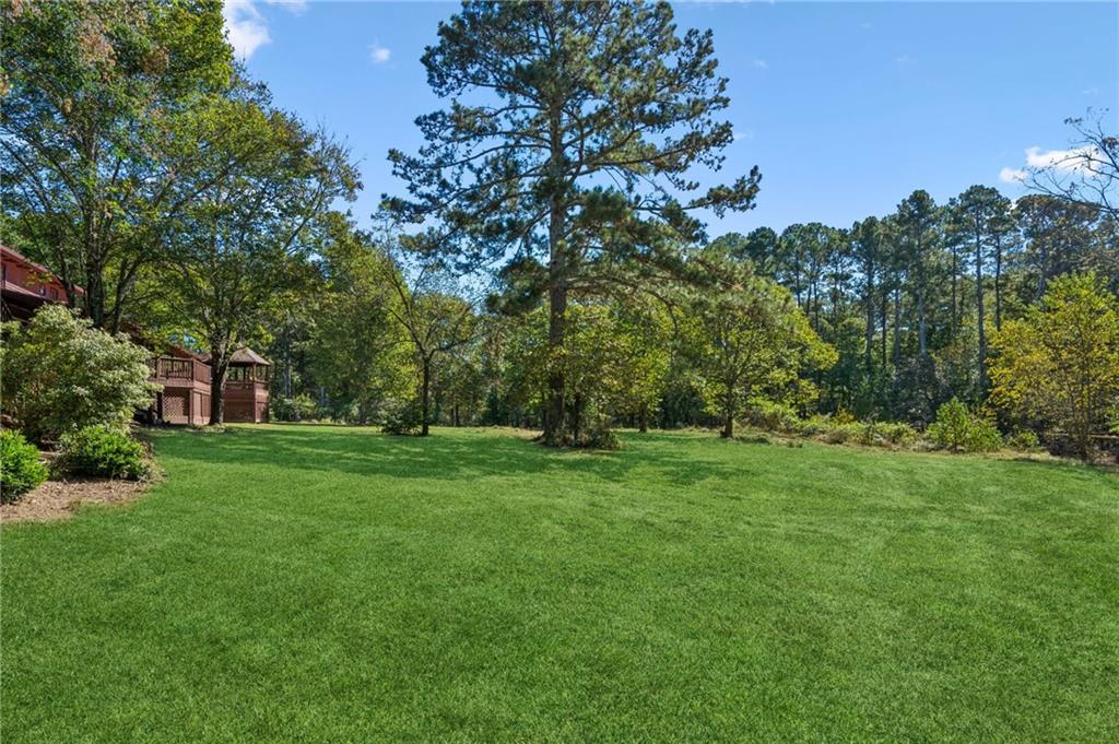 2905 Cammie Wages Road Dacula, GA 30019 - Photo 51 of 55 a view of a grassy field with trees