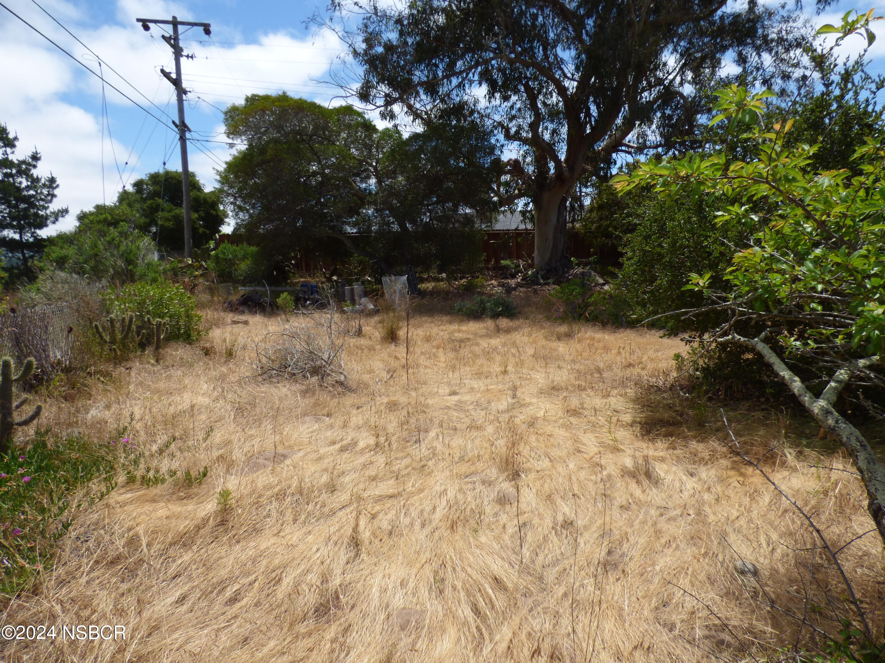 3380 Via Elba Lompoc, CA 93436 - Photo 17 of 23 a backyard of a house with lots of green space