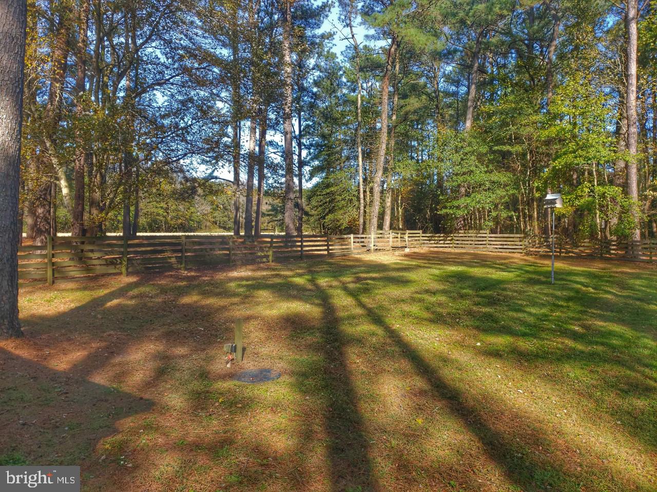 6051 Massey Crossing Road Willards, MD 21874 - Photo 51 of 60 Large Fenced In Back Yard