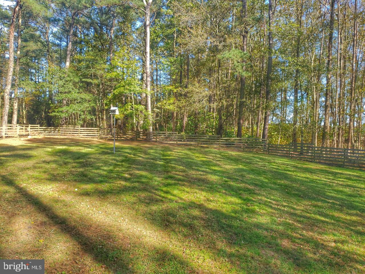 6051 Massey Crossing Road Willards, MD 21874 - Photo 52 of 60 Gallery Image 52