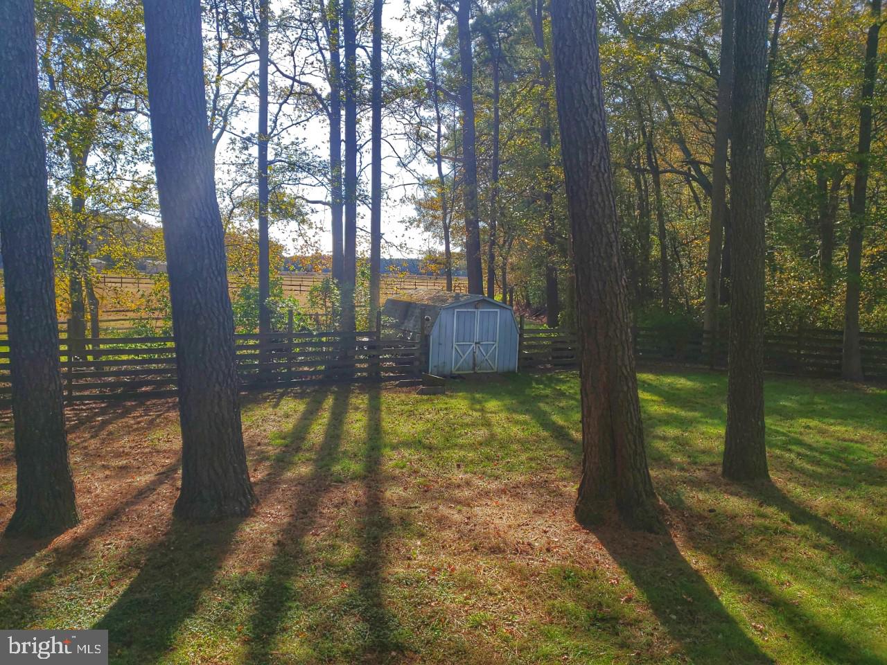 6051 Massey Crossing Road Willards, MD 21874 - Photo 55 of 60 Outbuilting