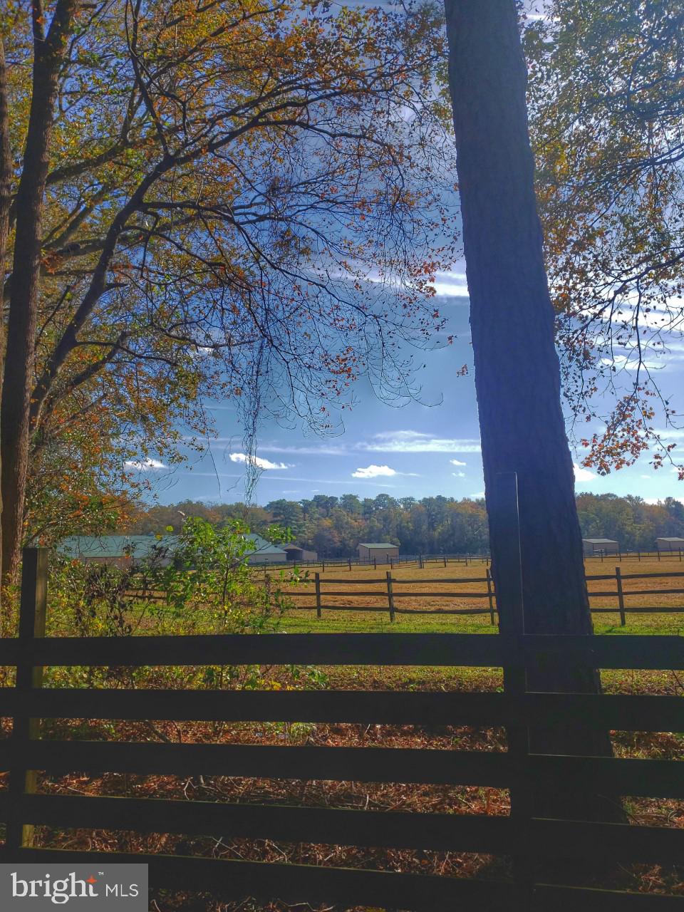 6051 Massey Crossing Road Willards, MD 21874 - Photo 58 of 60 Pastoral Setting