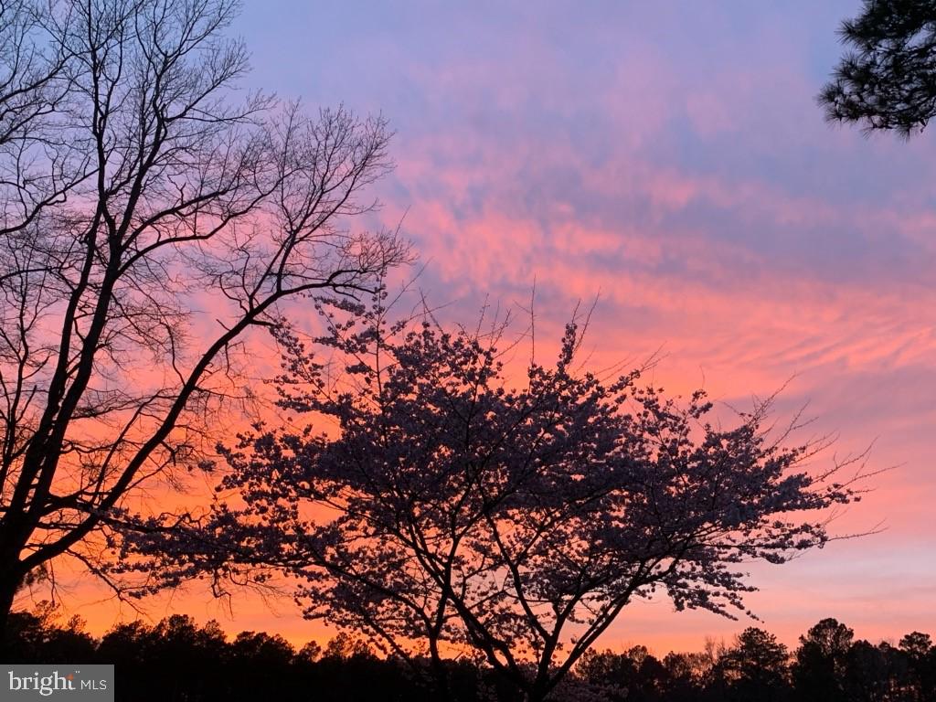 6051 Massey Crossing Road Willards, MD 21874 - Photo 60 of 60 Enjoy the Beautiful Sunsets