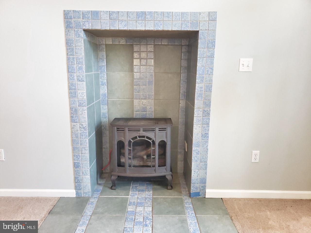 6051 Massey Crossing Road Willards, MD 21874 - Photo 10 of 60 Fireplace with Wood Stove Installed