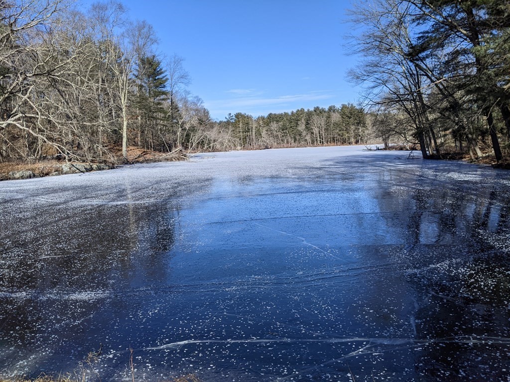 68 Rice Road Wayland, MA 01778 - Photo 37 of 38 Gallery Image 37