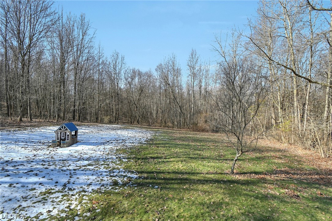4900 Ellerman Road Zanesville, OH 43701 - Photo 27 of 28 View of yard covered in snow
