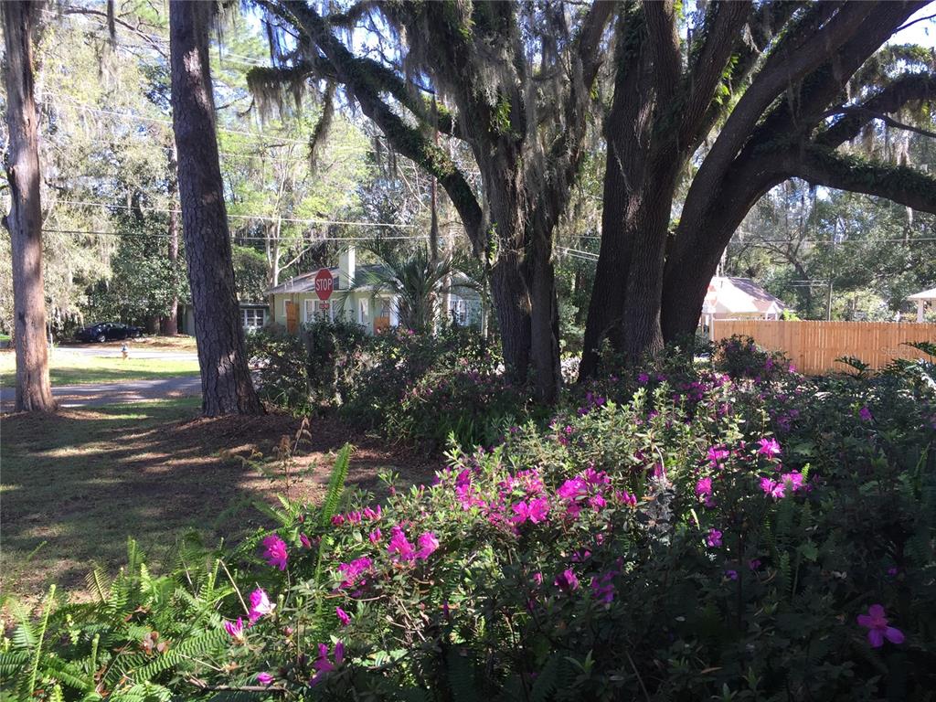 2703 Northwest 2 Avenue Gainesville, FL 32607 - Photo 23 of 27