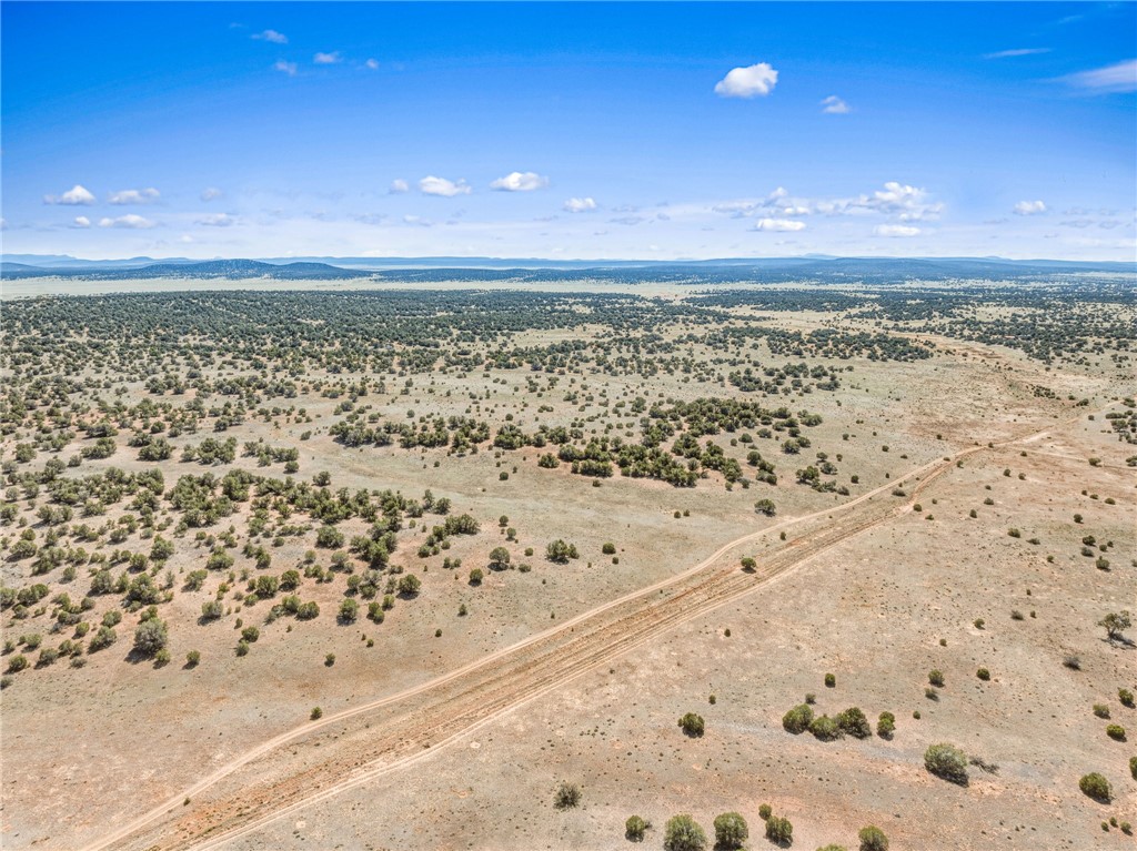 301-31-046 Wooden Ear Ranch Road Seligman, AZ 86337 - Photo 1 of 3