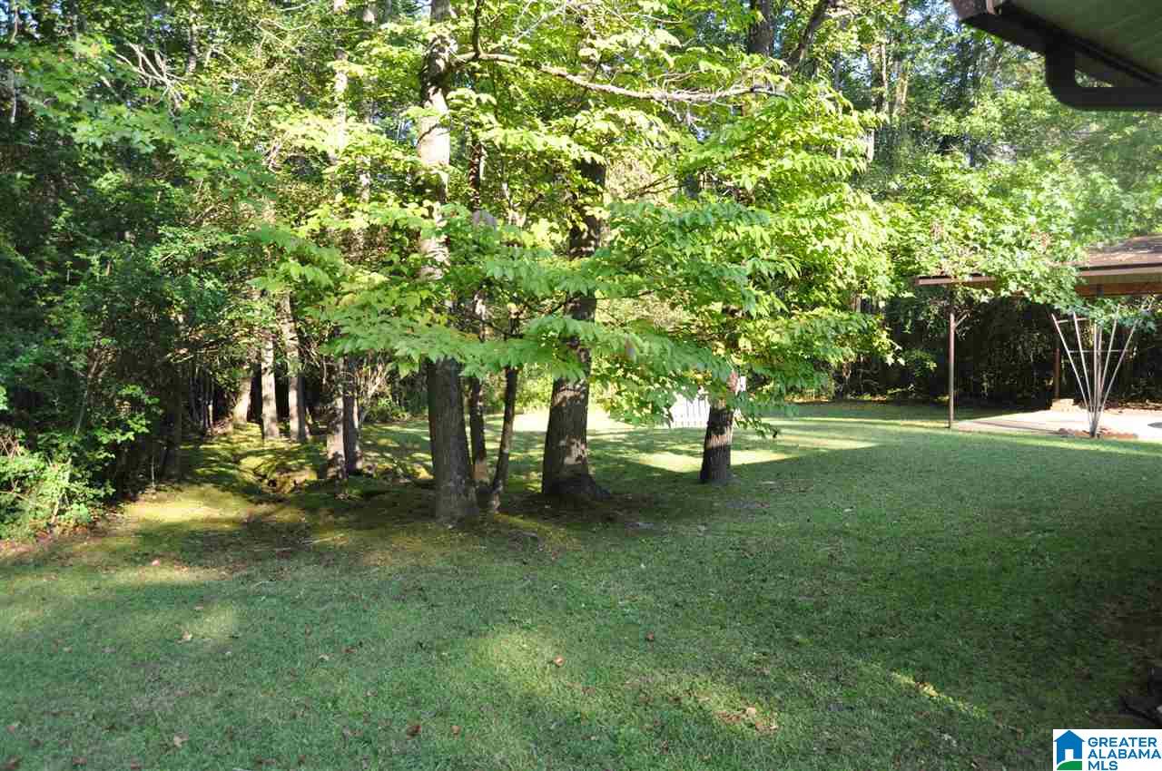 1630 Peaceburg Road Weaver, AL 36277 - Photo 34 of 44