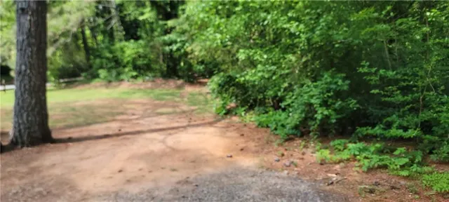 a view of a yard with a tree