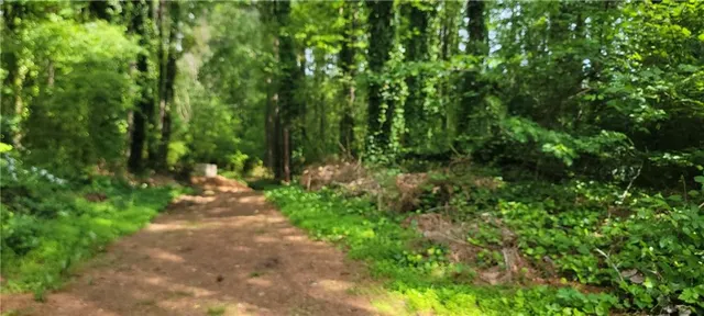 a view of a pathway both side of yard