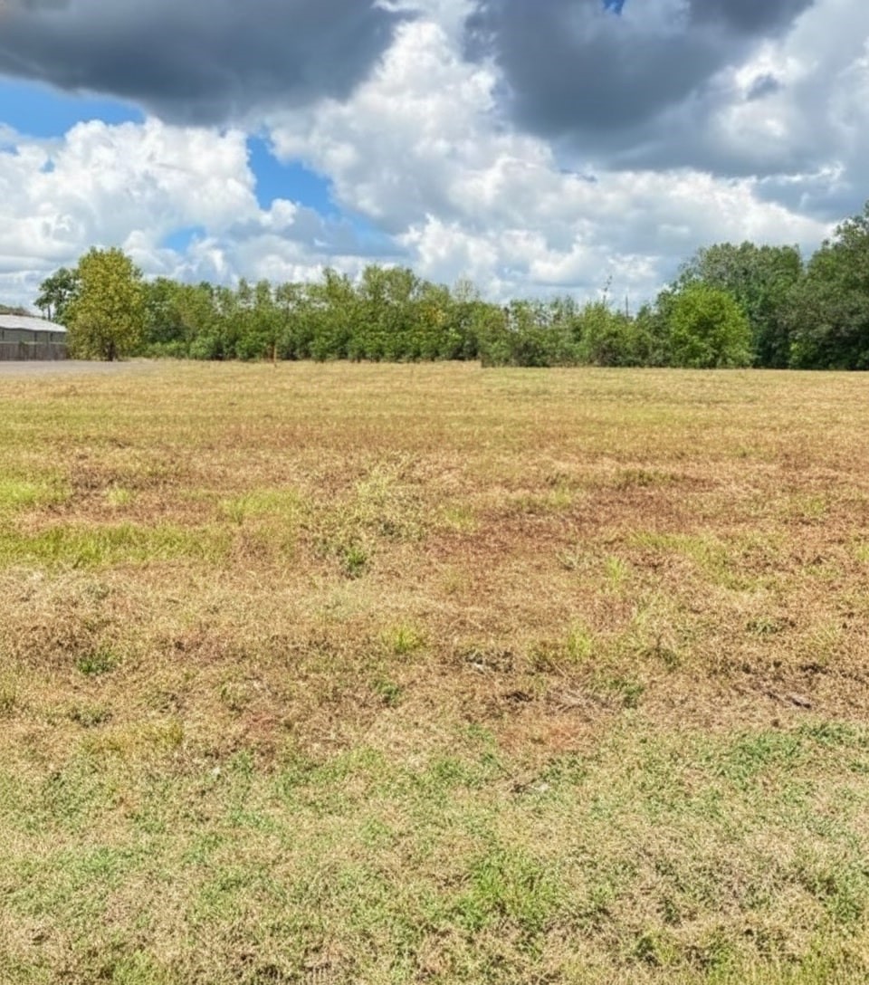 3530 Milam Street Beaumont, TX 77701 - Photo 6 of 7 a view of outside space and a lake view