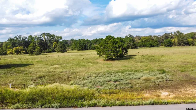 $225,000 | 16078 Aniston Lane, Flint, TX 75762