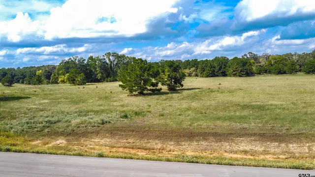 $225,000 | 16078 Aniston Lane, Flint, TX 75762