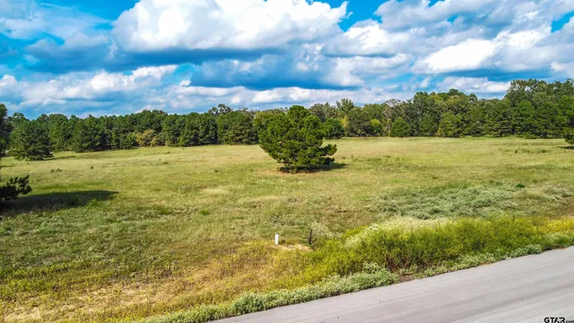 $225,000 | 16078 Aniston Lane, Flint, TX 75762