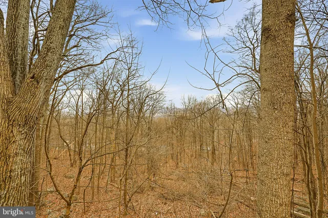 $260,000 | 266 Elderberry Trail, Gerrardstown, WV 25420