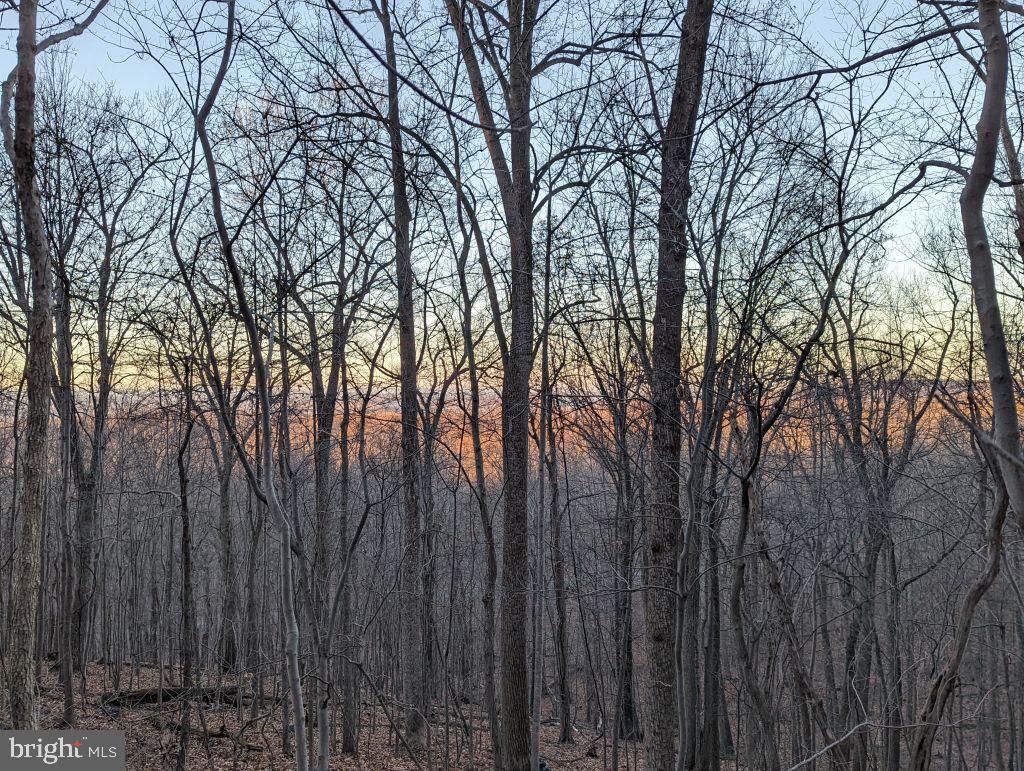 Lot 7 Ebenezer Road Bluemont, VA 20135 - Photo 1 of 26