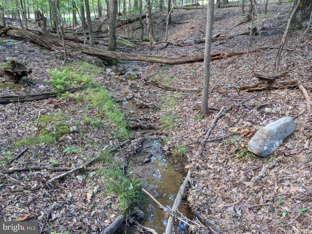 Lot 7 Ebenezer Road Bluemont, VA 20135 - Photo 11 of 26