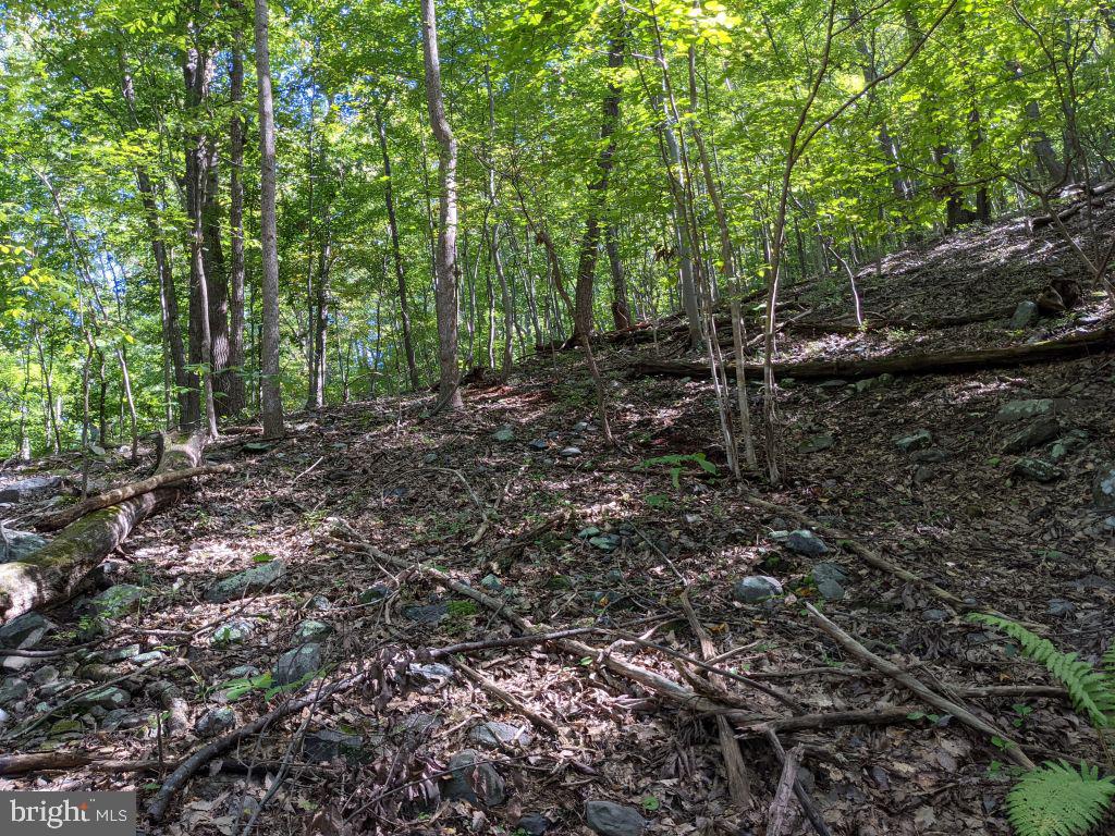 Lot 7 Ebenezer Road Bluemont, VA 20135 - Photo 12 of 26