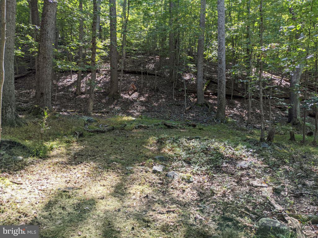 Lot 7 Ebenezer Road Bluemont, VA 20135 - Photo 13 of 26