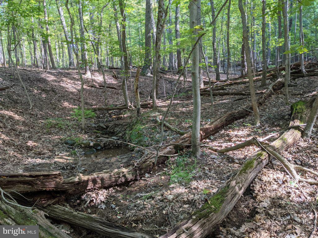 Lot 7 Ebenezer Road Bluemont, VA 20135 - Photo 14 of 26