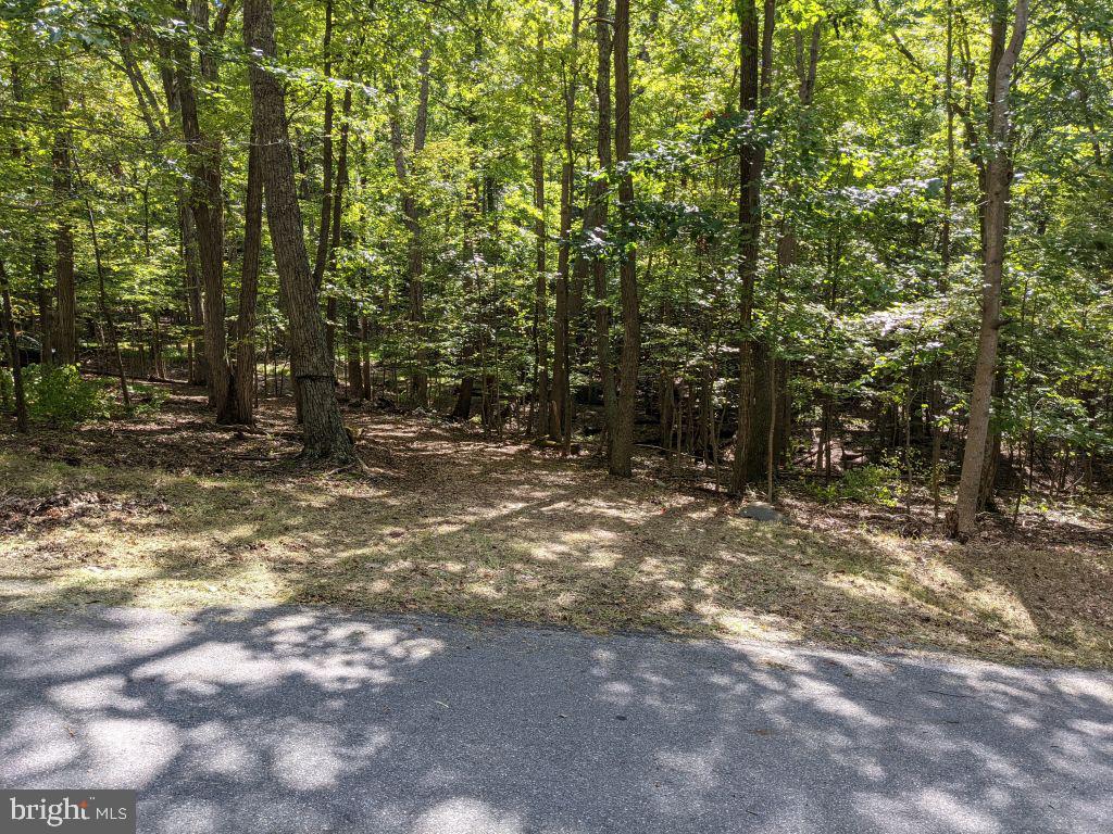 Lot 7 Ebenezer Road Bluemont, VA 20135 - Photo 15 of 26