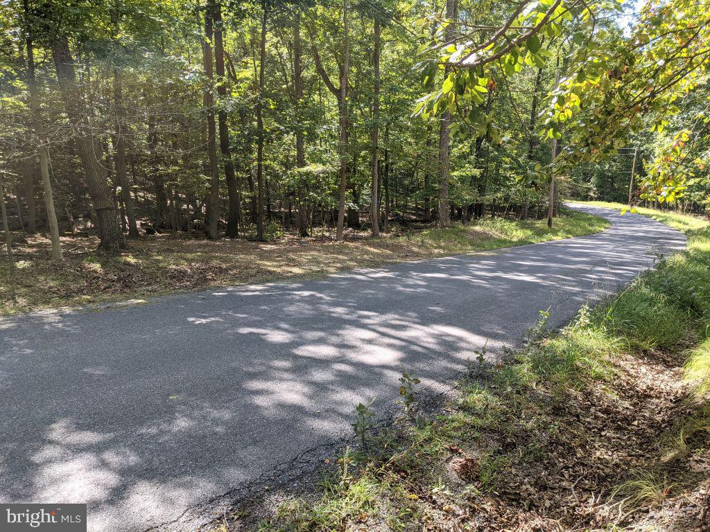 Lot 7 Ebenezer Road Bluemont, VA 20135 - Photo 16 of 26