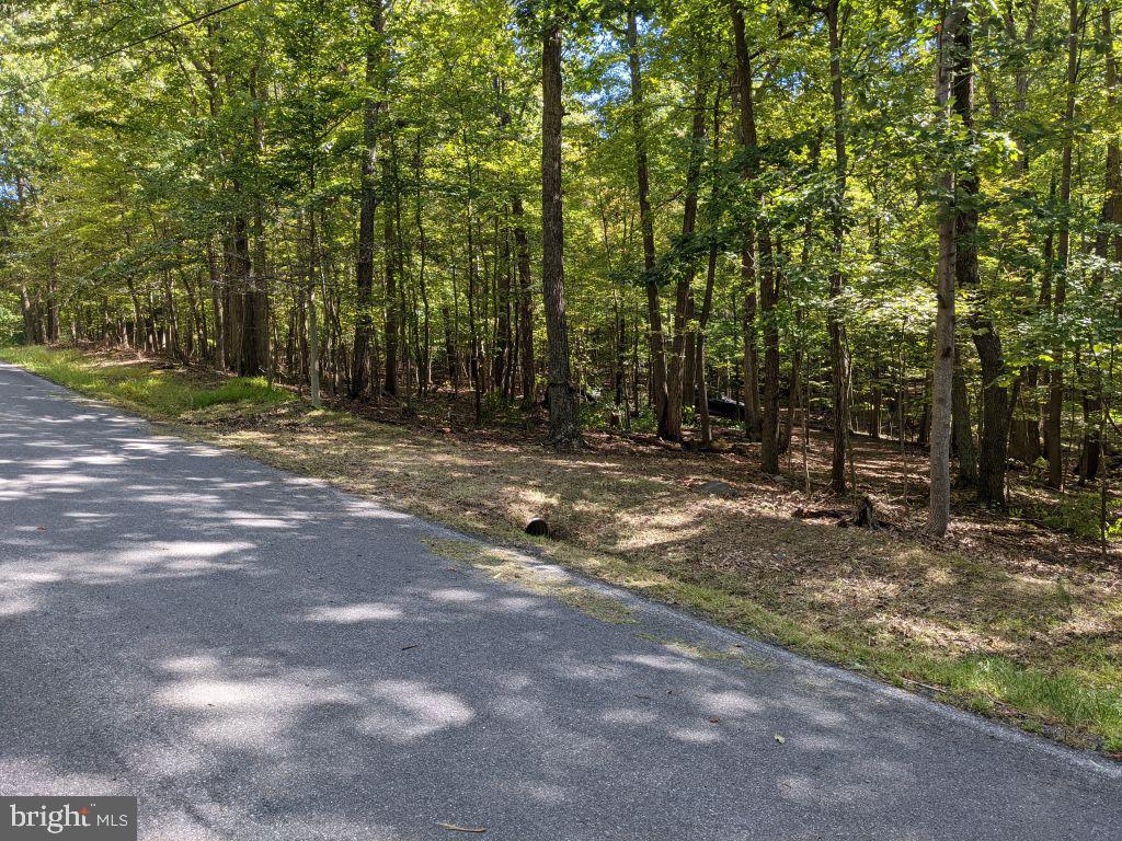 Lot 7 Ebenezer Road Bluemont, VA 20135 - Photo 17 of 26