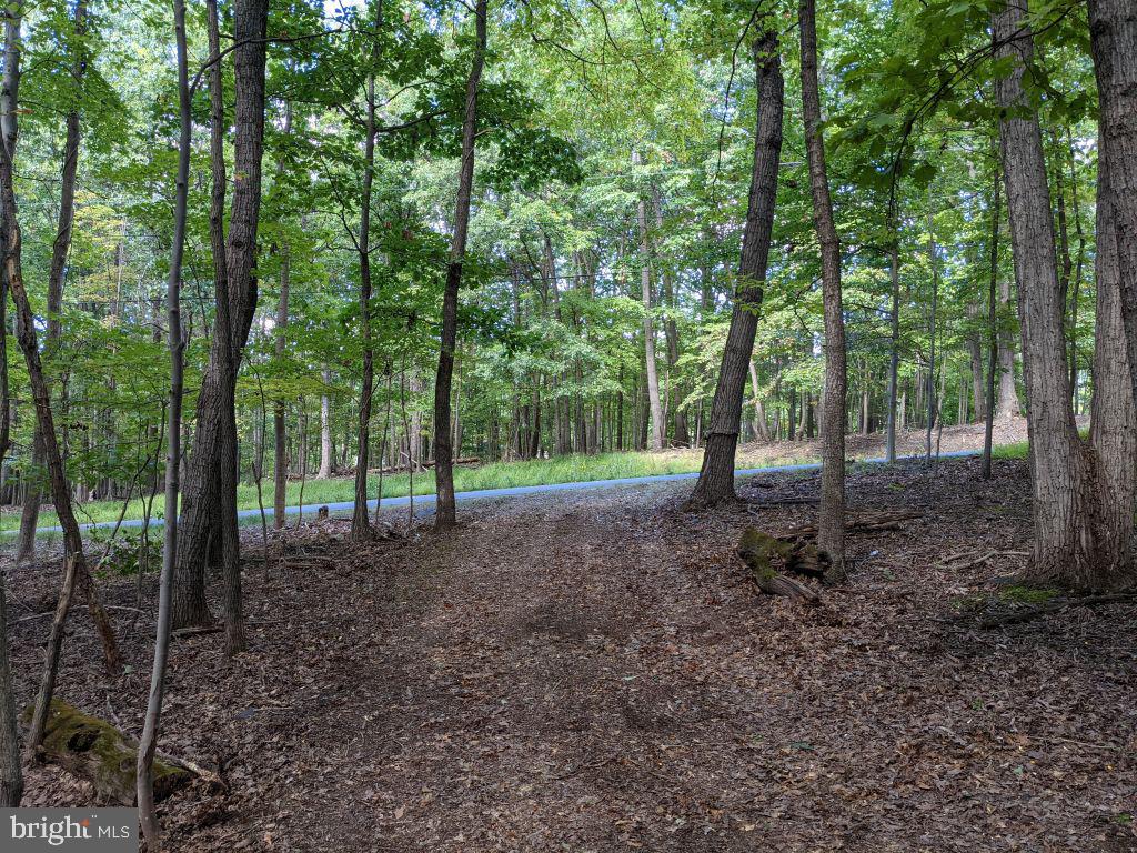 Lot 7 Ebenezer Road Bluemont, VA 20135 - Photo 18 of 26